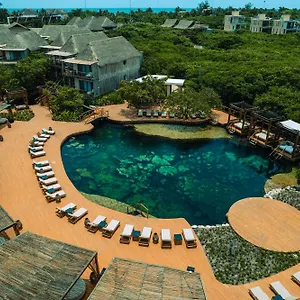 hotel-shibari-restaurant-cenote-club.allrivieramayahotels.com/